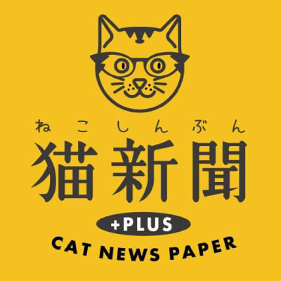 猫新聞編集長